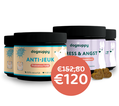 [BUN] Jeuk & Stress