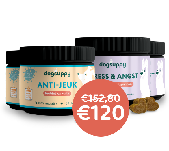 [BUN] Jeuk & Stress