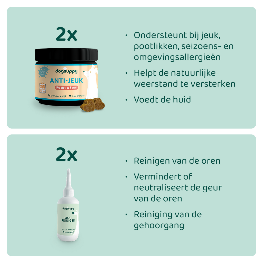 [BUN] Jeuk & Oren