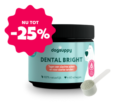 Dental Bright 🌿 60 schepjes