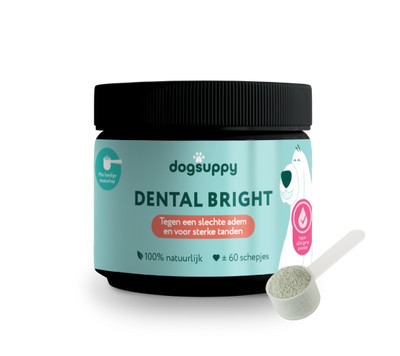 Dental Bright 🌿 60 schepjes