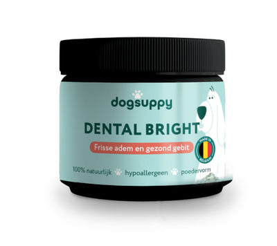 Nieuwjaarsactie 33% korting | Dental Bright | o1