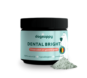 Dental Bright