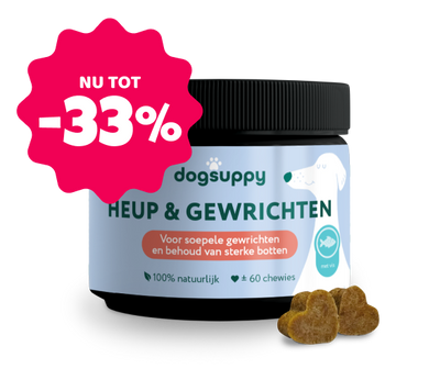 Heup & Gewrichten 🌿 60 snoepjes