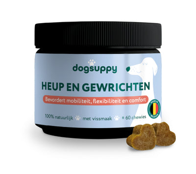 Verlicht Artrose en gewrichtsklachten bij honden | 100% Natuurlijk