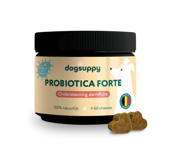 Probiotica Forte | 60 snoepjes