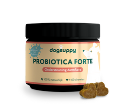Probiotica Forte 🌿 60 snoepjes