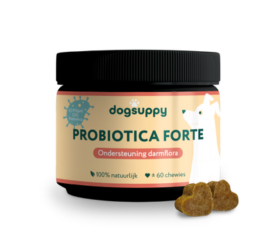 Probiotica Forte 🌿 60 snoepjes