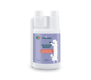 Silicium Boost