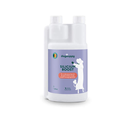 Silicium Boost