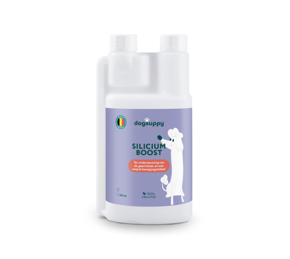 Silicium Boost 🌿 250 ml