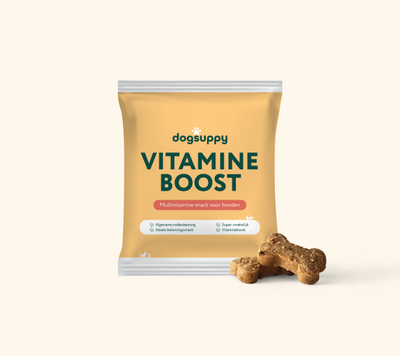 Vitamine Boost 🌿 60-70 stuks/zakje