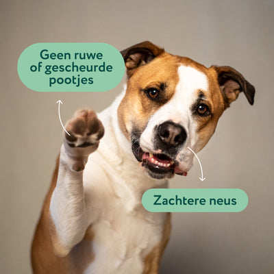 Neus- & Pootbalsem | Hydrateert en verzorgt droge neuzen & poten | 100% natuurlijk | 90 ml