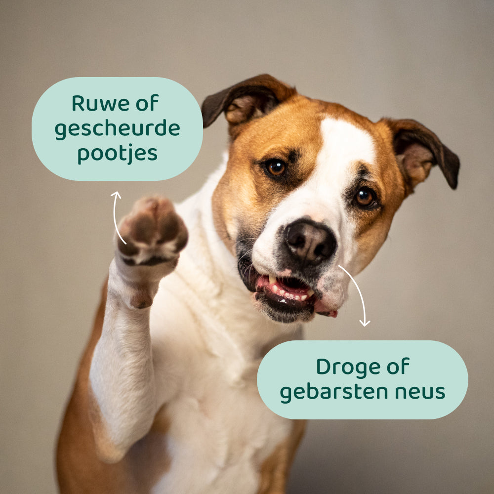 Neus- & Pootbalsem 🌿  125 ml