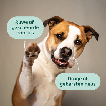 Neus- & Pootbalsem 🌿  125 ml