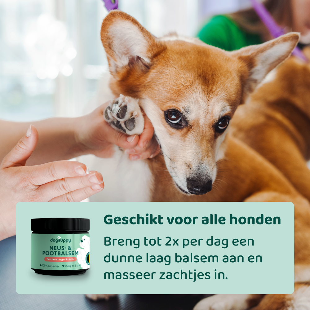 Neus- & Pootbalsem 🌿  125 ml