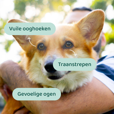 Oogdruppels & Traansmeerverwijderaar 🌿 100 ml