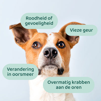 Oorreiniger 🌿 100 ml