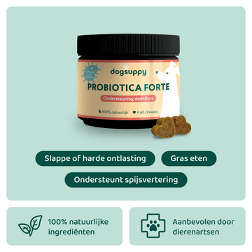 Probiotica Forte 🌿 60 snoepjes