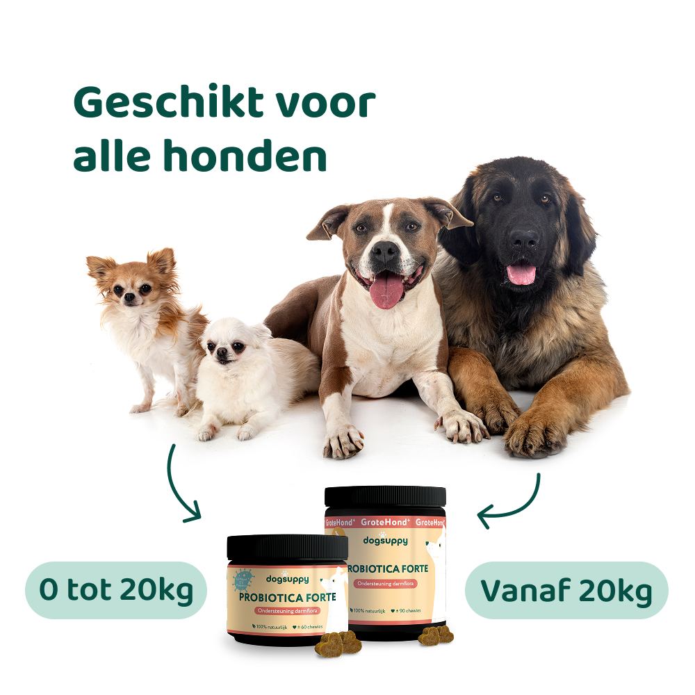 Probiotica Forte 🌿 60 snoepjes