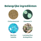 Probiotica Forte 🌿 60 snoepjes