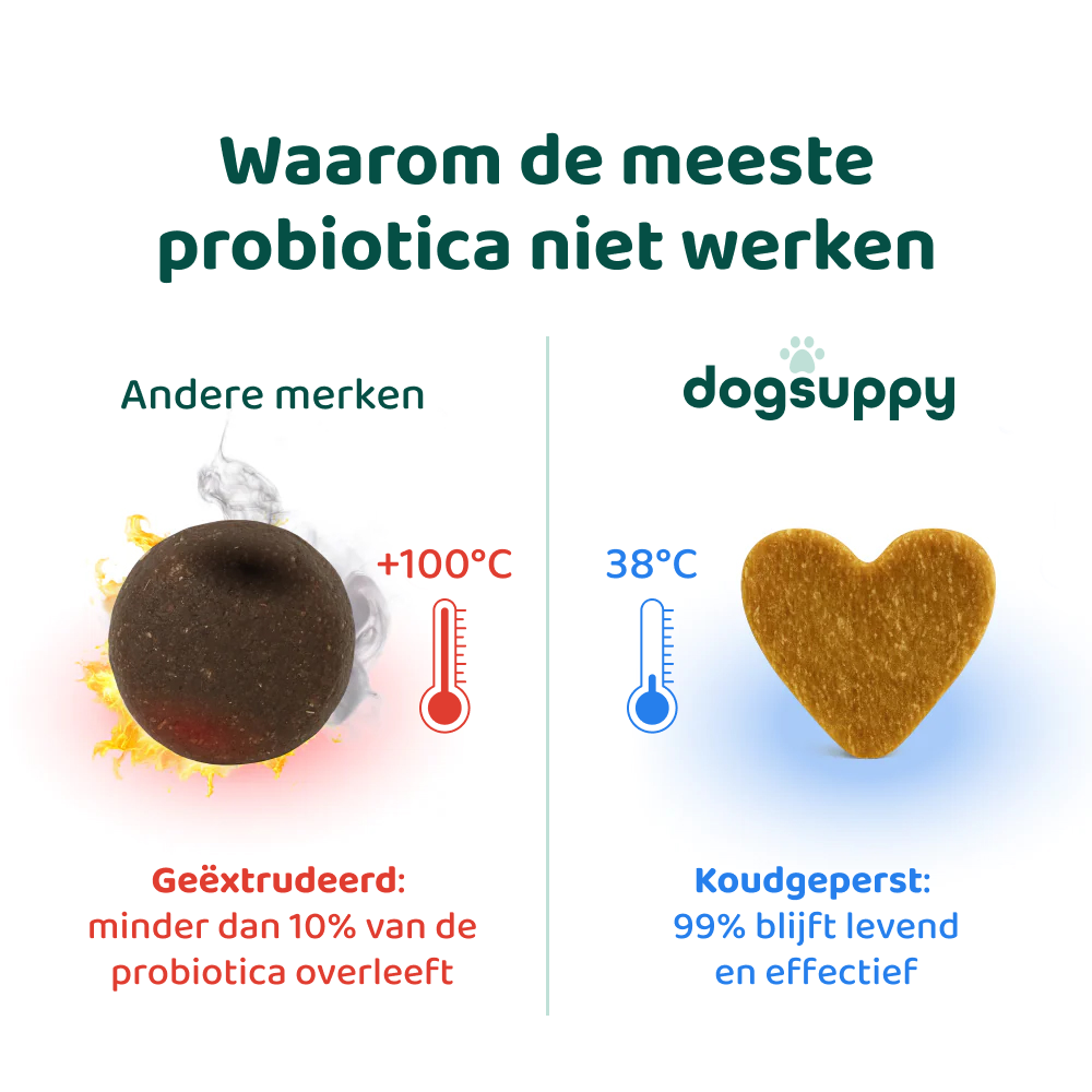 Anti-Jeuk Probiotica 🌿 60 snoepjes