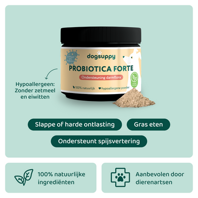 Probiotica Forte Poeder 🌿 60 schepjes