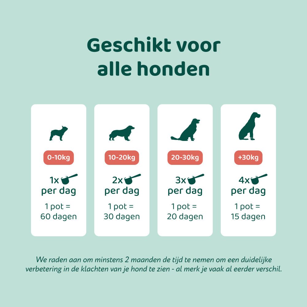 Probiotica Forte Poeder 🌿 60 schepjes
