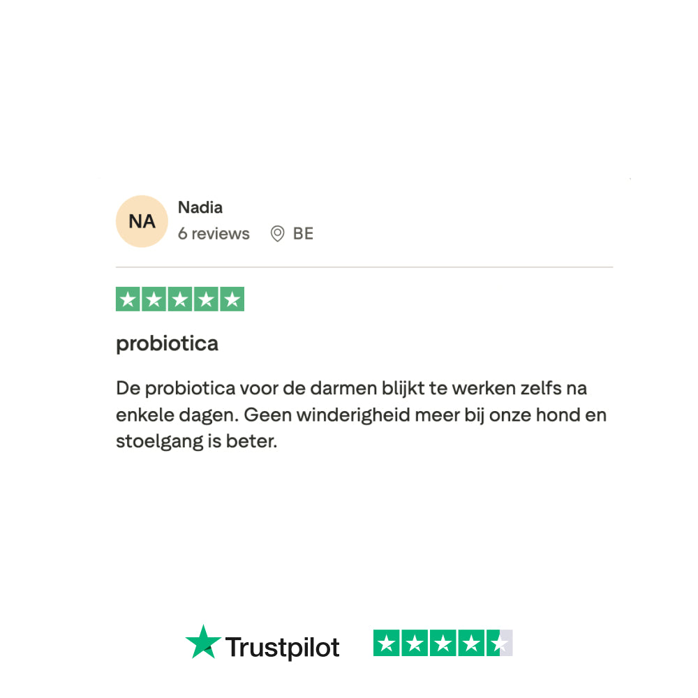 Probiotica Forte Poeder 🌿 60 schepjes