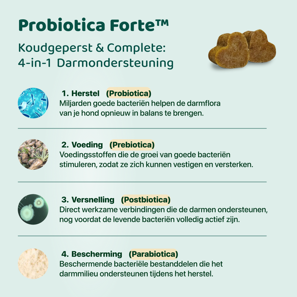 Probiotica Forte | 60 snoepjes