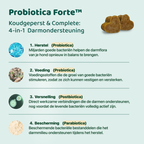 Probiotica Forte | 60 snoepjes