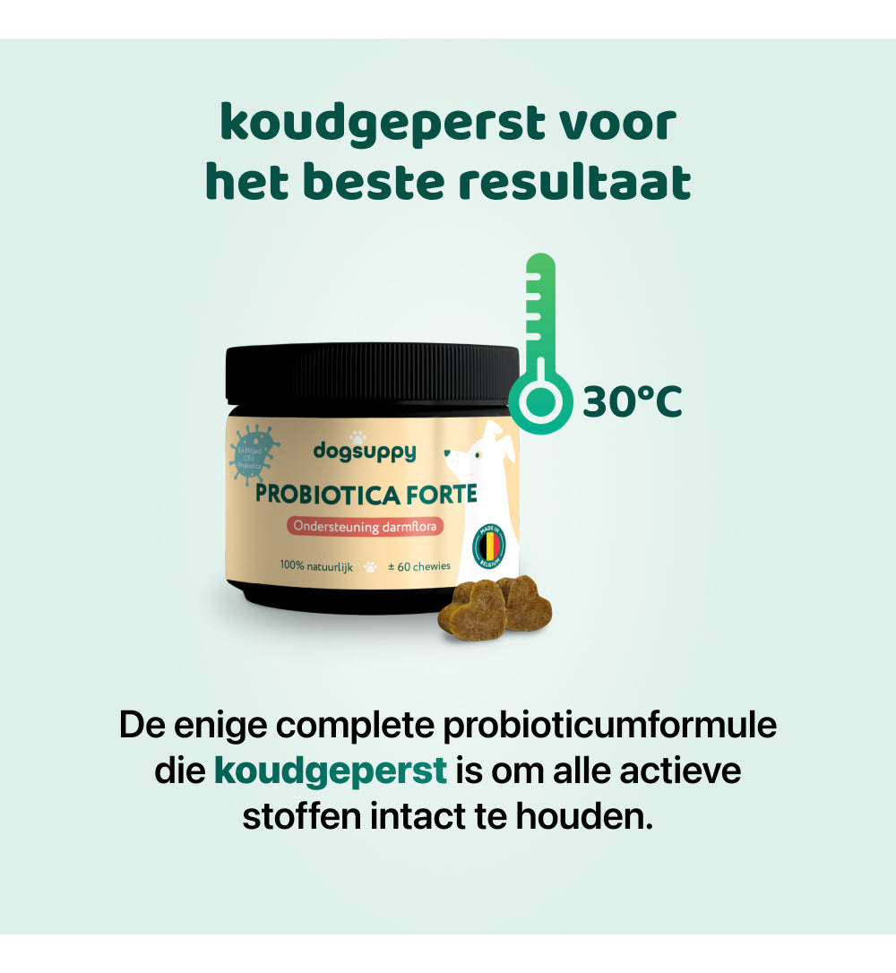 Probiotica Forte | 60 snoepjes