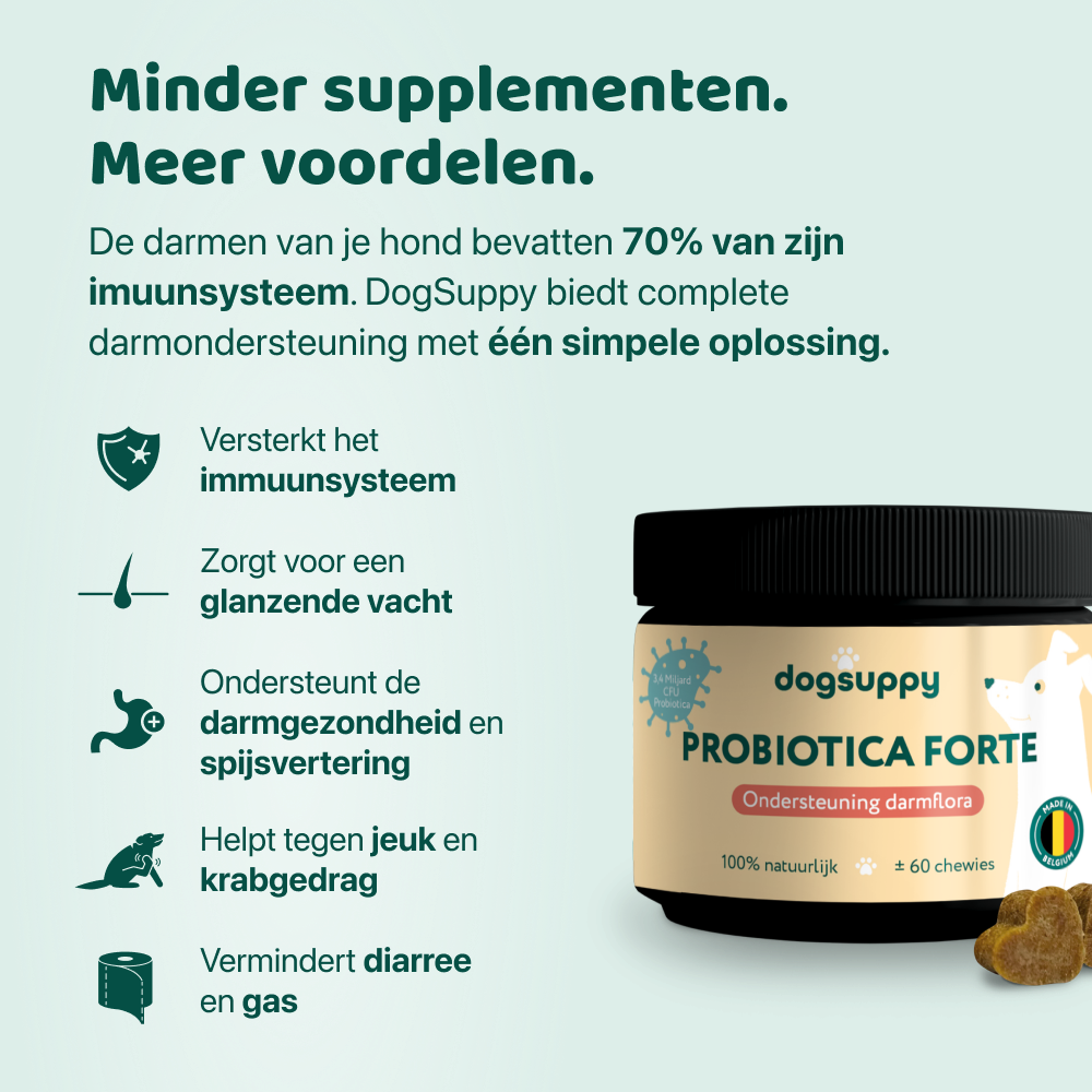 Probiotica Forte | 60 snoepjes