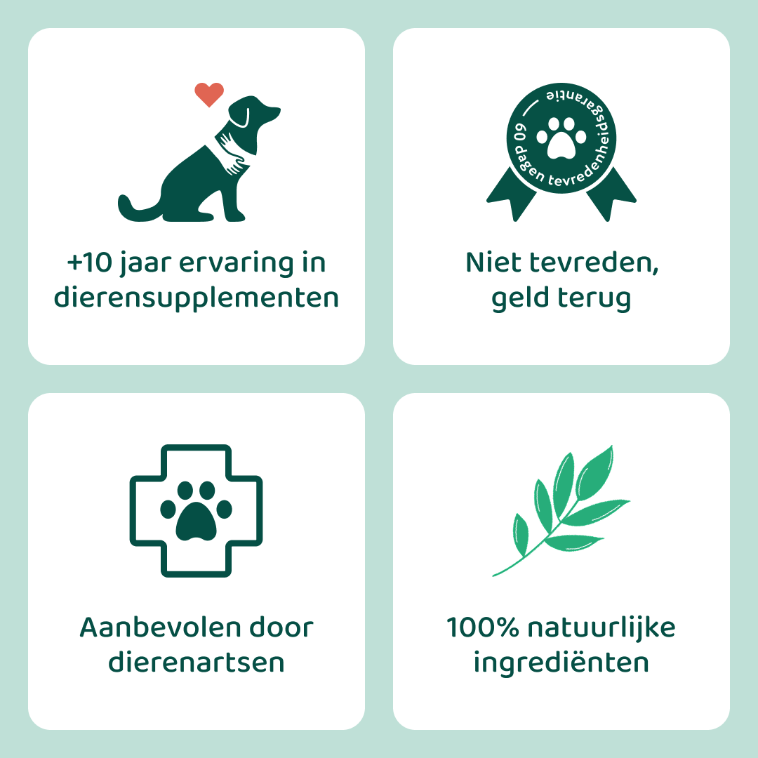Oorreiniger | Diepe reiniging en bescherming tegen irritaties | 100 ml