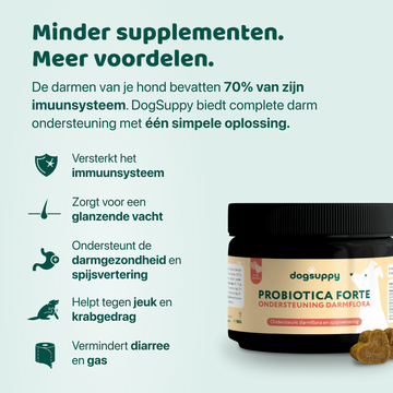 Probiotica Forte | Voor een optimale darmgezondheid | 60 snoepjes