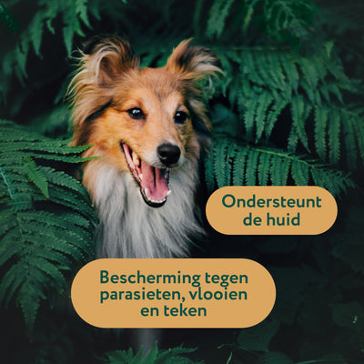 Anti-Parasiet, Vlooi en Teken | Bescherm je hond tegen parasieten | 100 ml