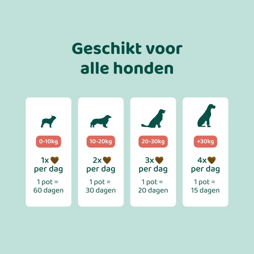 Anti-Vlooien & Teken 🌿 60 snoepjes