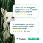 Vlooien & Teken Spray 🌿 100 ml