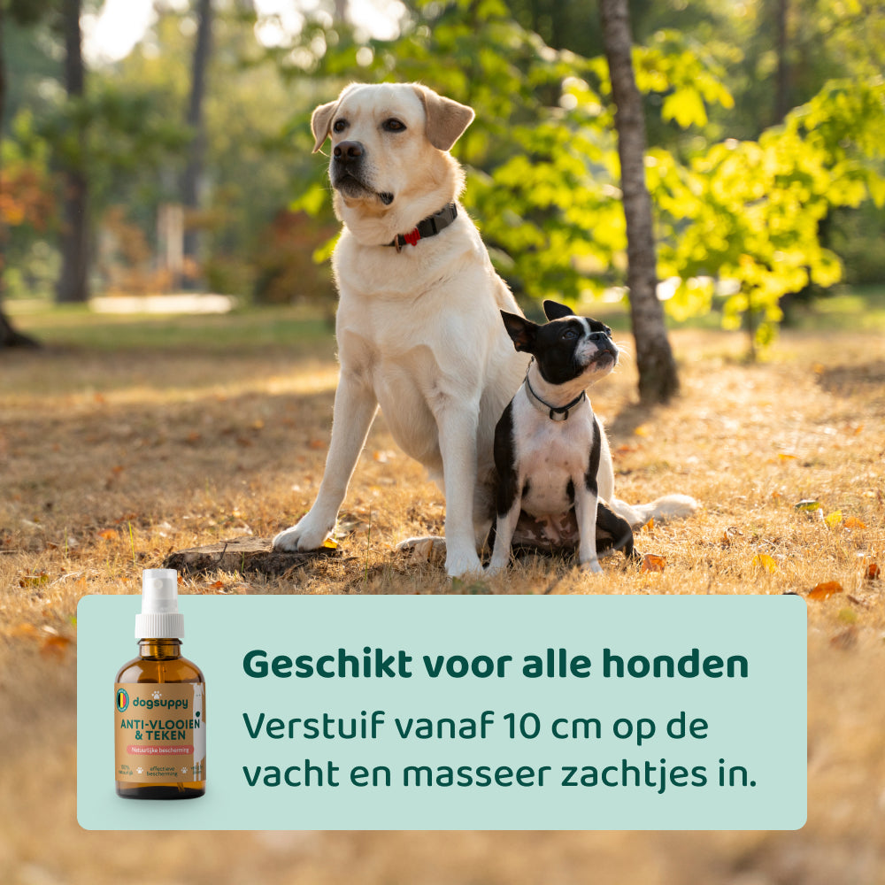 Vlooien & Teken Spray 🌿 100 ml