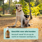 Vlooien & Teken Spray 🌿 100 ml