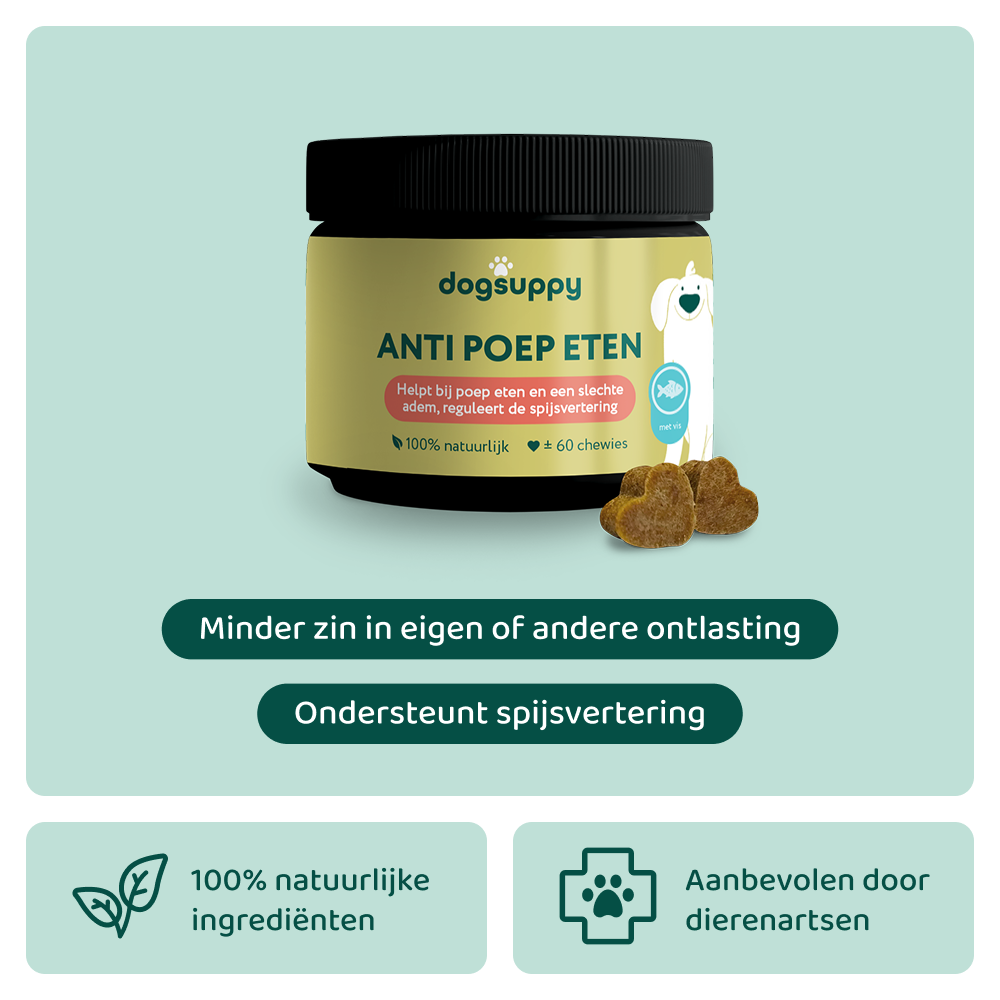 Anti Poep Eten 🌿 60 snoepjes – DogSuppy