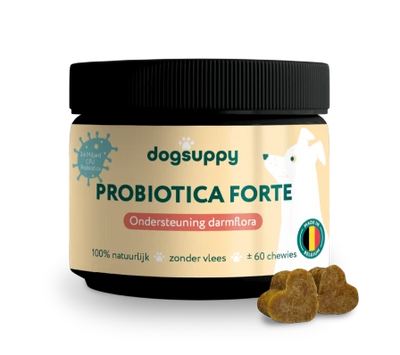 Probiotica Forte | Voor een optimale darmgezondheid | 60 snoepjes