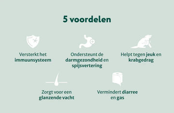 Probiotica Forte zonder vlees | Voor een optimale darmgezondheid | 60 snoepjes