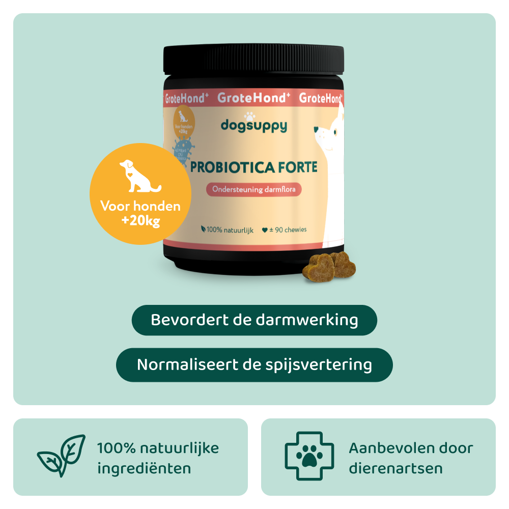 Probiotica Forte GroteHond⁺ 🌿 90 snoepjes