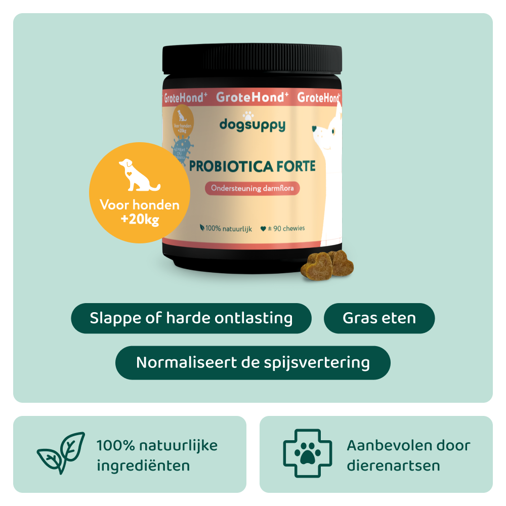 Probiotica Forte GroteHond⁺ 🌿 90 snoepjes