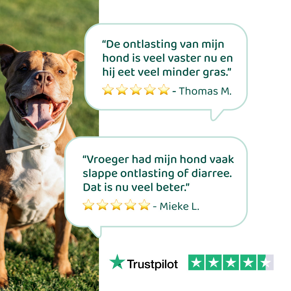 Probiotica Forte GroteHond⁺ 🌿 90 snoepjes