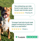 Probiotica Forte GroteHond⁺ 🌿 90 snoepjes