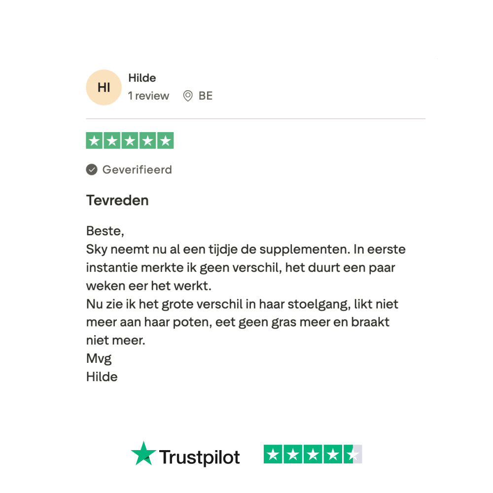 Probiotica Forte GroteHond⁺ 🌿 90 snoepjes