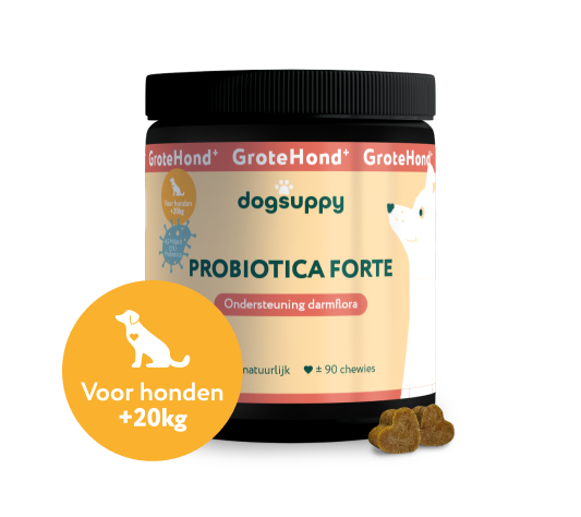GroteHond⁺ Probiotica Forte