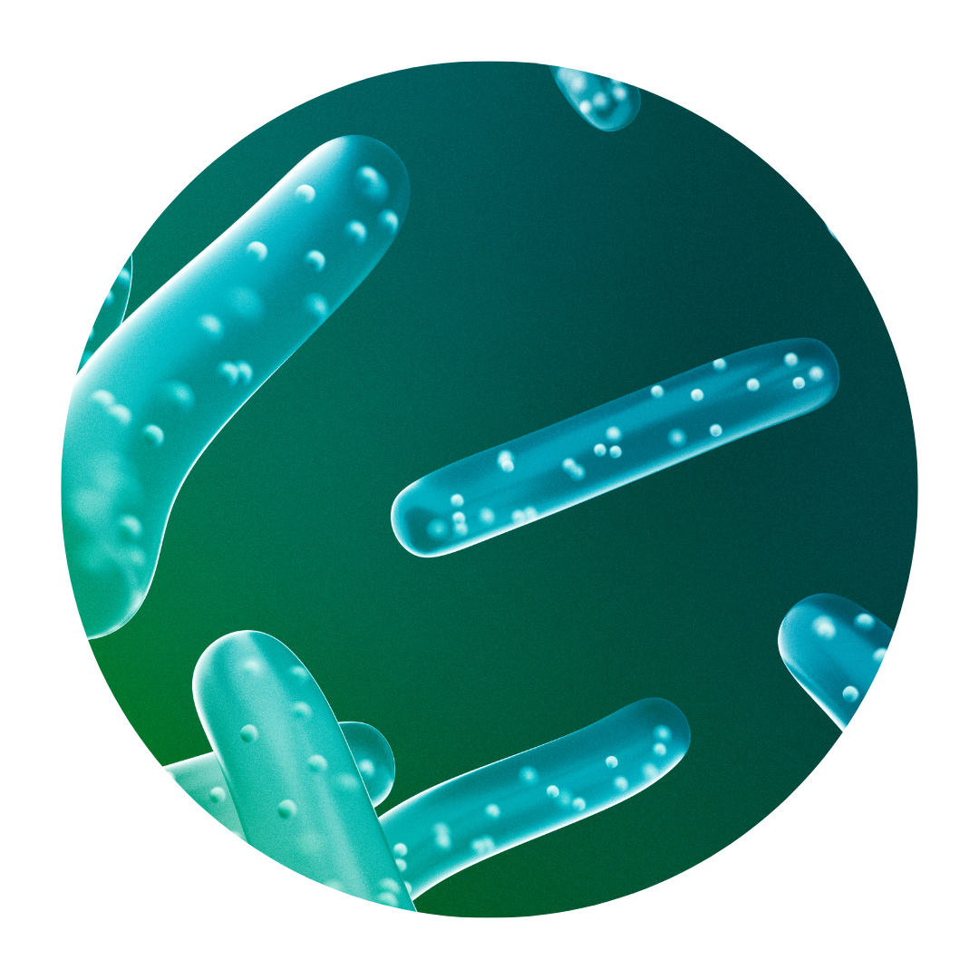 Probiotica